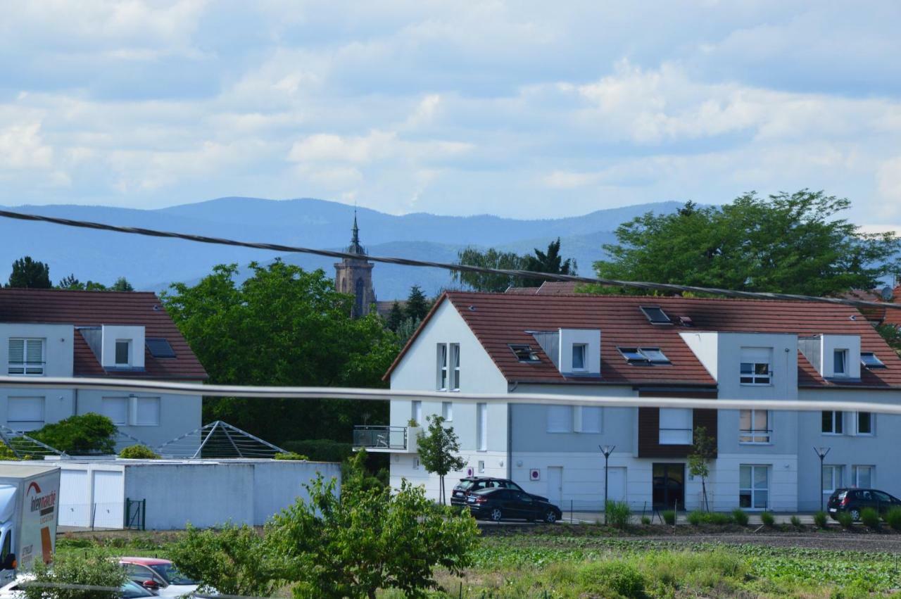 Gite Du Neuland Colmar Exterior foto